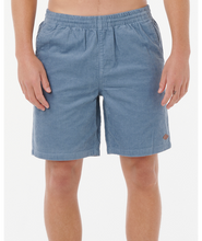 Load image into Gallery viewer, Rip Curl Men's Volley Shorts