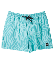 Load image into Gallery viewer, Quiksilver Surfsilk Mens Mix Volley 17
