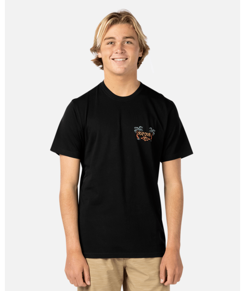 Shop Rip Curl Search Icon T-Shirt In Black - Fast Shipping & Easy