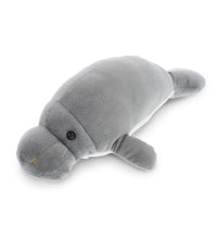 Load image into Gallery viewer, CoTa Big Eyes Plush Toys
