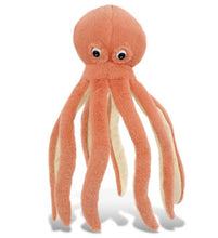 Load image into Gallery viewer, CoTa Big Eyes Plush Toys
