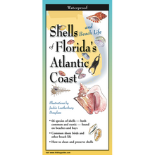Load image into Gallery viewer, Earth Sky &amp; Water Pamphlets, Sea Shells &amp; Sea Turtles
