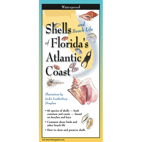 Earth Sky & Water Pamphlets, Sea Shells & Sea Turtles