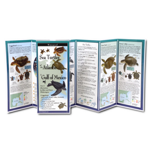 Load image into Gallery viewer, Earth Sky &amp; Water Pamphlets, Sea Shells &amp; Sea Turtles
