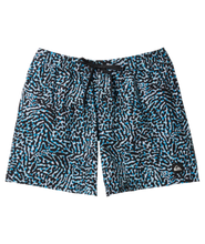 Load image into Gallery viewer, Quiksilver Surfsilk Mens Mix Volley 17
