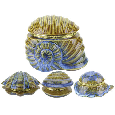 American gift Shell Shaped Porcelain 5