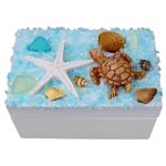 American Gift Turtle And Shell 4.25 Box