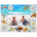 American Gift Sand Dollar Picture Frame