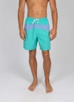 Rusty Chop Suey Mens Elastic Boardshorts