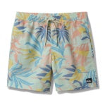 Load image into Gallery viewer, Quiksilver Everyday Volley 17 Shorts
