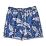 Quiksilver Mens Mixed Volley Short