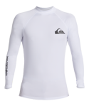 Load image into Gallery viewer, Quiksilver Mens Everyday Surf LS Rashguard
