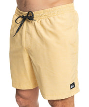 Load image into Gallery viewer, Quiksilver Men Everyday Volley Boardshorts
