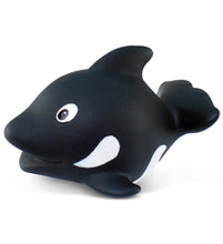 Load image into Gallery viewer, Cota Squirter Beach Toys
