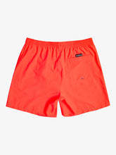 Load image into Gallery viewer, Quiksilver Everyday Volley 17 Shorts
